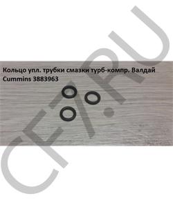 3922794 Кольцо упл. трубки смазки турб-компр. Валдай Cummins CUMMINS FOTON в городе Екатеринбург