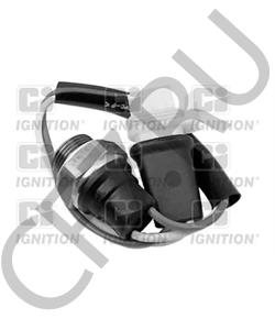 6025107024 ALPINA Термовыключатель, вентилятор радиатора в городе Екатеринбург