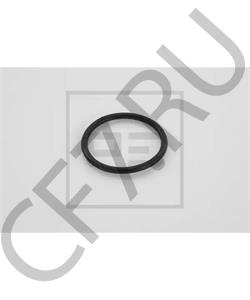 173 1000 C TRAILOR Уплотнительное кольцо в городе Екатеринбург