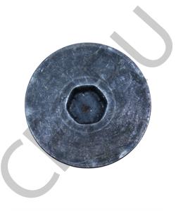 WG9981340003 Shaanxi/Shacman Заглушка резьбовая (мост AC26) HOWO ZZ5707 в городе Екатеринбург