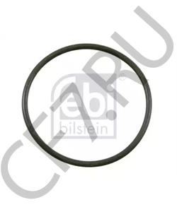 165 3000 Z TRAILOR Уплотнительное кольцо в городе Екатеринбург