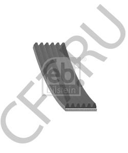 97WF6C301AA FORD ASIA / OCEANIA Поликлиновой ремень в городе Екатеринбург