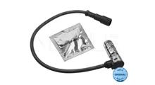 RVI SENSOR