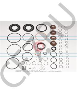 T19433 TAS Комплект уплотнений, ZF в городе Екатеринбург