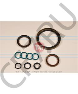 T19427 TAS Комплект сальников, ZF в городе Екатеринбург