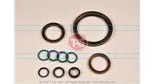 TAS Комплект сальников, ZF T19427