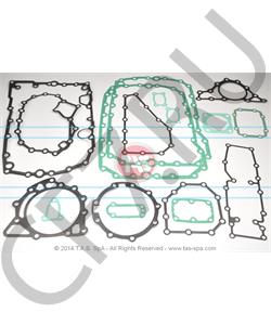 T19441 TAS Комплект прокладок, ZF в городе Екатеринбург