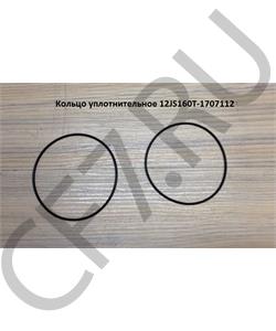 12JS160T-1707112 SHAANXI Кольцо уплотнительное в городе Екатеринбург