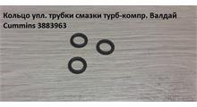 CUMMINS Кольцо уплотнительное трубки подачи масла на турбину и компрессор CUMMINS ISF3.8 ISBe 3883963