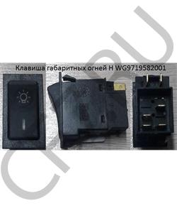 WG9719582001 WAYTEKO Клавиша освещения в городе Екатеринбург