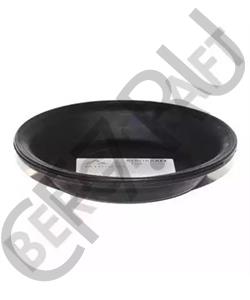 FBU8677 LEYLAND Мембрана, цилиндр пружинного энерго-аккумулятора в городе Екатеринбург