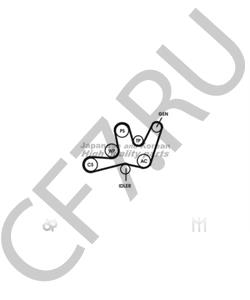 6PK1640 METACO Ремень ручейковый в городе Екатеринбург