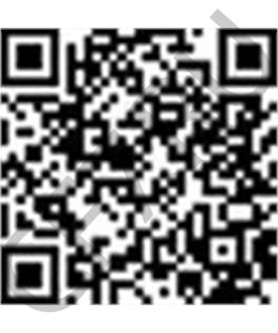 1.051.0010.01 SAF Палец ушка рессоры в городе Екатеринбург