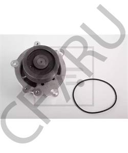 1649082 Elwis Колпачок маслосъемный. в городе Екатеринбург