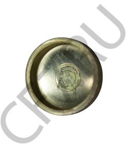 90003989725 HOWO / SITRAK Заглушка головки блока цилиндров Ø-25 мм в городе Екатеринбург