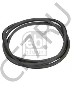 81.96121.0056 SHACMAN Уплотнитель лобового стекла в городе Екатеринбург