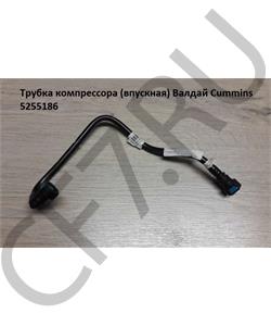5255186 Cummins China Трубка компрессора вод.впускная Cummins ISF 2.8\3,8 в городе Екатеринбург