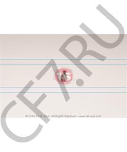 T08949 TAS Сухарь синхронизатора, делитель, ZF в городе Екатеринбург