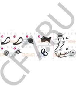 1005824 MOSKVICH Ремень ГРМ в городе Екатеринбург