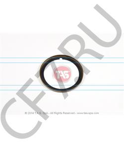 T18524 TAS Сальник 77x95.3x6 КПП ZF, в городе Екатеринбург