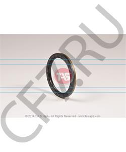 T20768 TAS Сальник 105x130x12, ZF в городе Екатеринбург