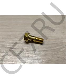 612630040117 Carruchi Болт топливный полый D=10 () в городе Екатеринбург