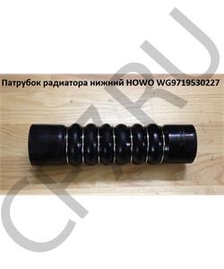 WG9719530227 Leo Патрубок радиатора нижний прямой HOWO LEO100149A в городе Екатеринбург