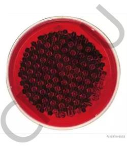 8689003000 KÄSSBOHRER Отражатель в городе Екатеринбург