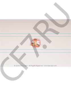 T17901 TAS Ползун вилки КПП 14мм, ZF в городе Екатеринбург