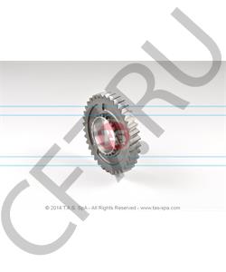 T22231 TAS Шестерня в городе Екатеринбург