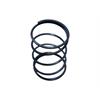 Пружина 12JS160T-1703027 (40*62*10)